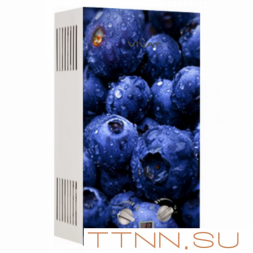 Газовая колонка VIVAT GLS 20-10 L NG с картинкой (Черника) автоподжиг 10 л/мин