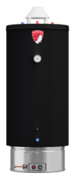 Газовый накопительный водонагреватель Federica Bugatti INOX WH120
