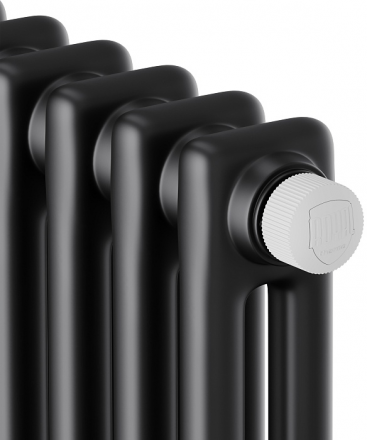 Стальной трубчатый радиатор 2-колончатый Royal Thermo Insignia VC2180 - 10 секц. RAL9005m, нижнее 1/2