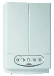 Настенный газовый котел Immergas Zeus 24 kW E