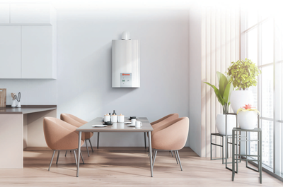 Настенный газовый котел Thermex EuroElite F36