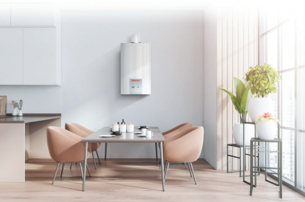 Настенный газовый котел Thermex EuroElite F10