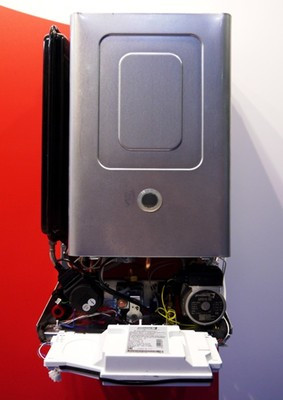 Настенный газовый котел Protherm Рысь HK 11