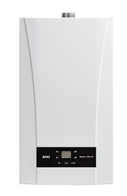 Настенный газовый котел BAXI ECO Nova 1.24F